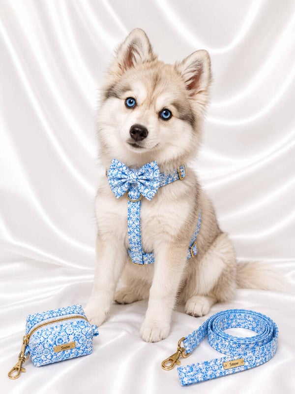 Porcelain Blue Premium Walking Set