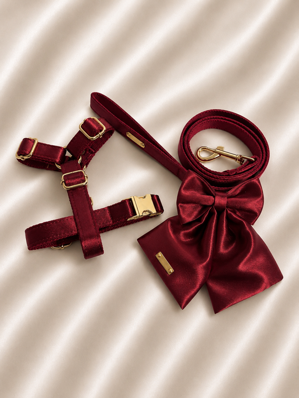 Ruby Noir Satin Walking Set
