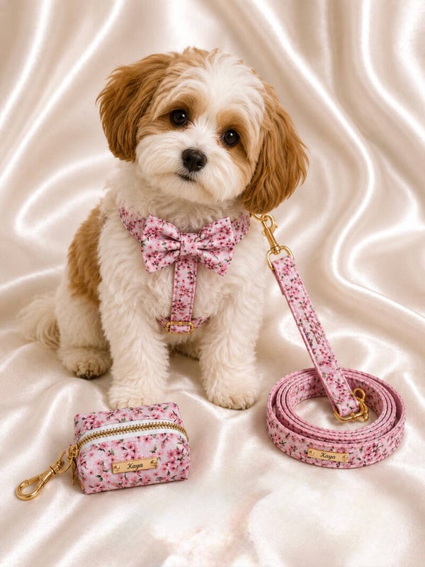 Sakura Pink Premium Walking Set