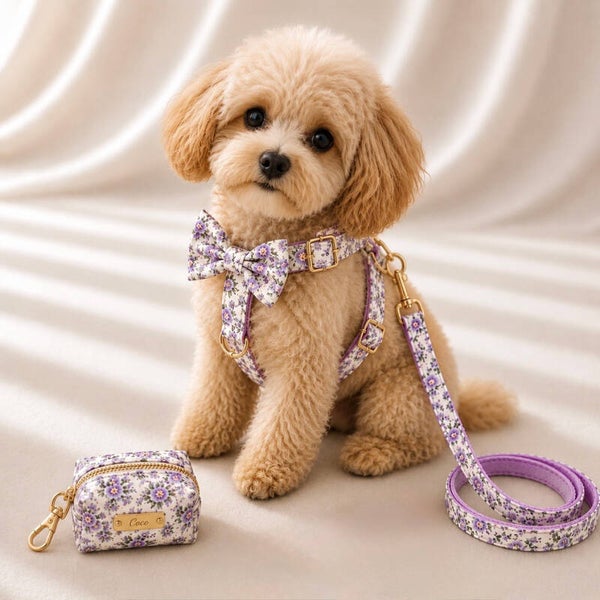 Sakura Purple Premium Walking Set