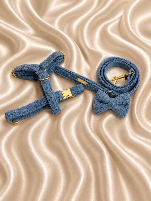 Royal Sky Teddy Walking Set