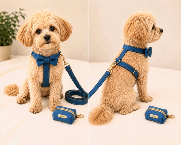 Sky Denim Premium Walking Set