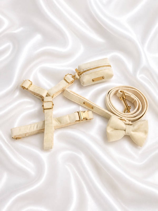 Soft Ivory Velvet Set