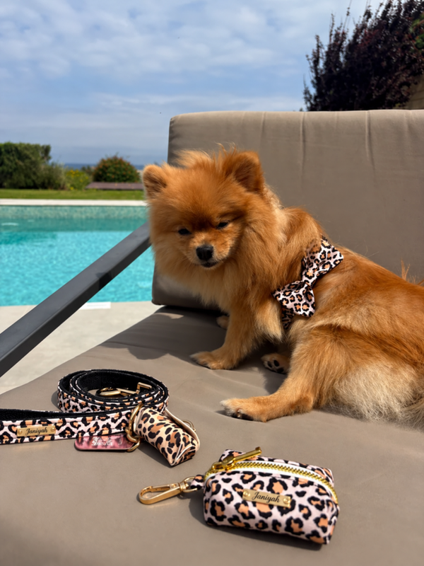 Wild Leopard Premium Walking Set