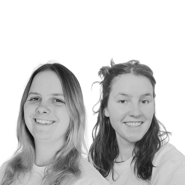Fitdans