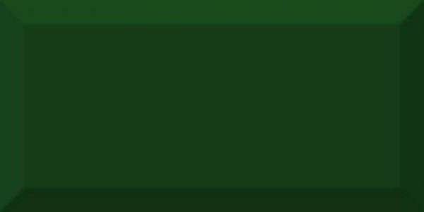 Metrotegel Engels groen glans 10x20 cm