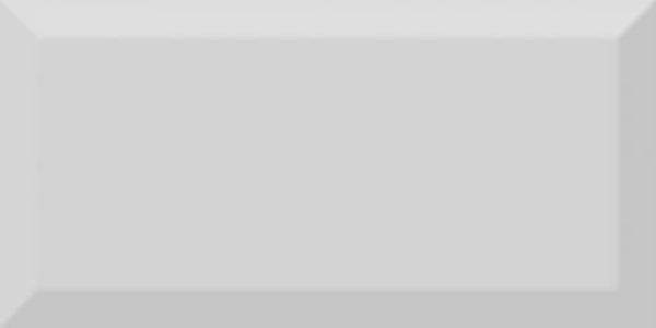 Metrotegel Gris glans 10x20 cm