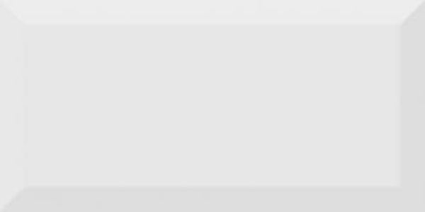 Metrotegel Lichtgrijs glans 10x20 cm