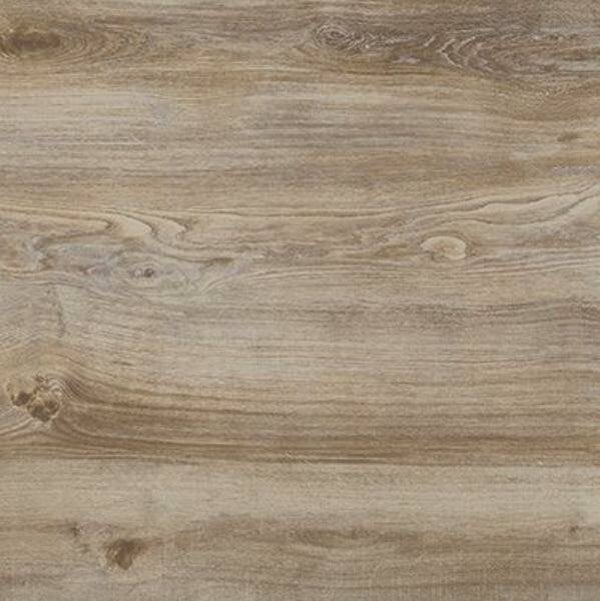 MySpace Cinnamon diverse formaten