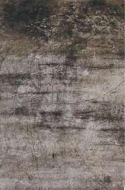 La Fenice Oxydum Iron 60x60 cm