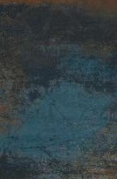 La Fenice Oxydum Steel 60x60 cm