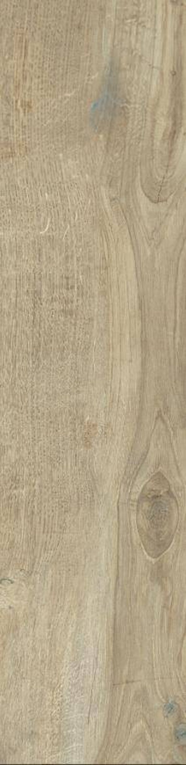 Woodland Elm diverse formaten