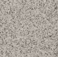 Vloertegel graniet grijs 10x10 cm en 15x15 cm