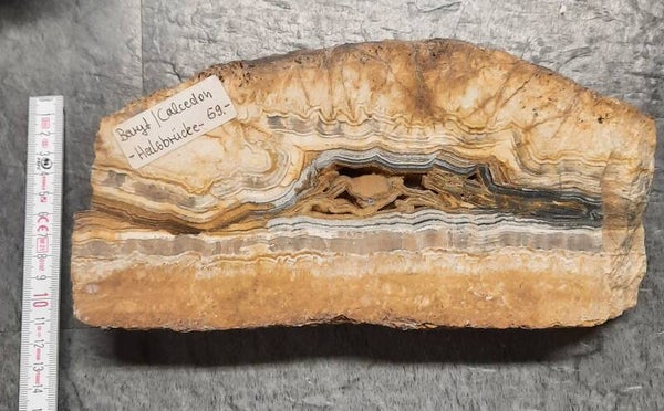 Baryt / Chalcedon Halsbrücke (Freiberg)