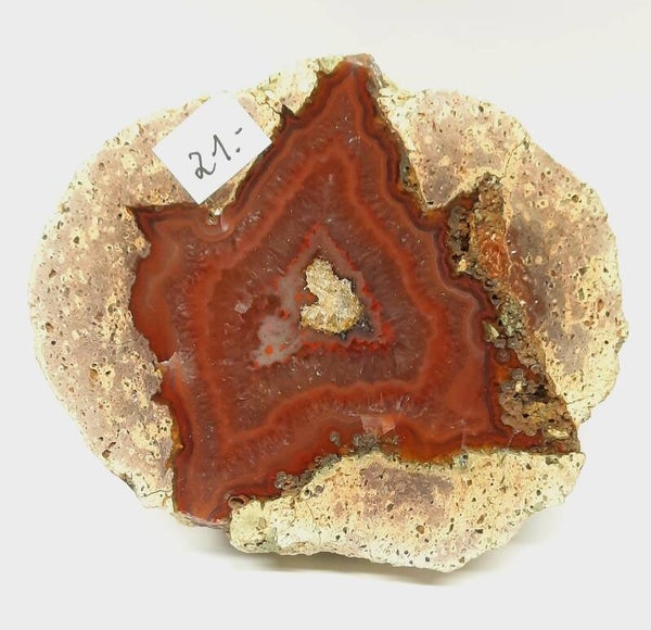 Sternachat St. Egidien