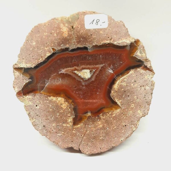 Sternachat St. Egidien