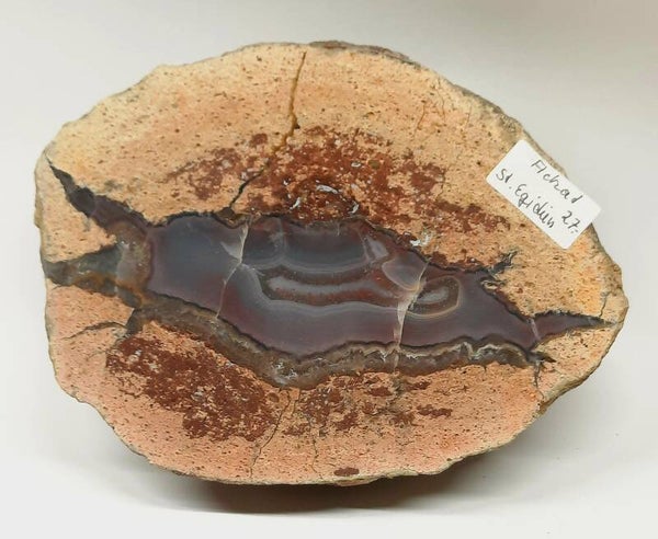 Sternachat St. Egidien