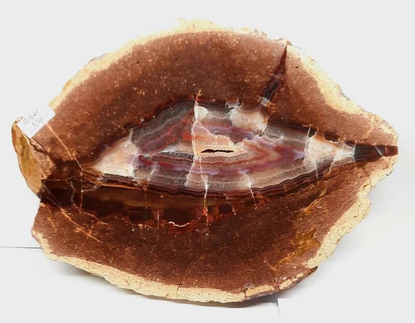 Sternachat St. Egidien