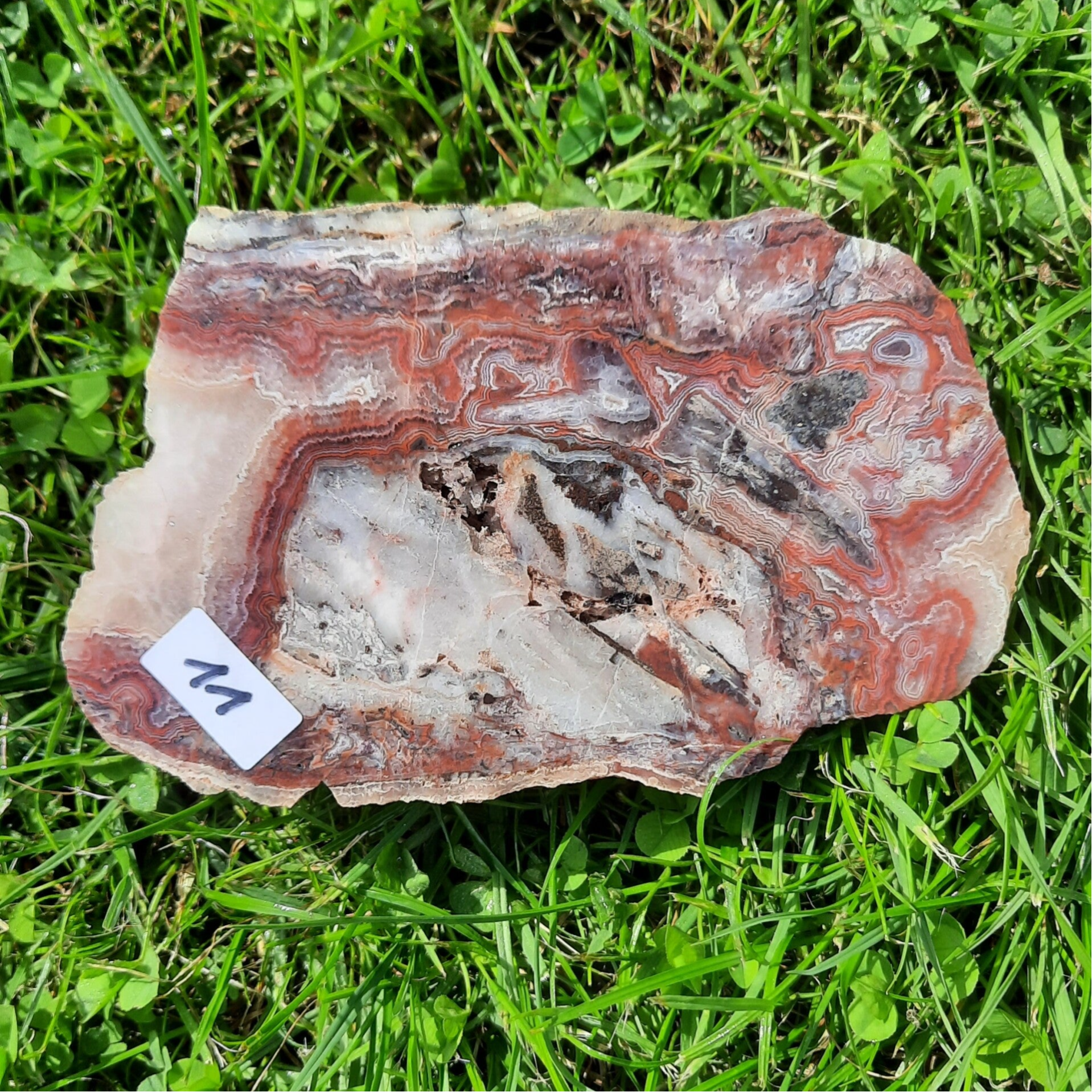 11 - Achat Amethyst Warmbad