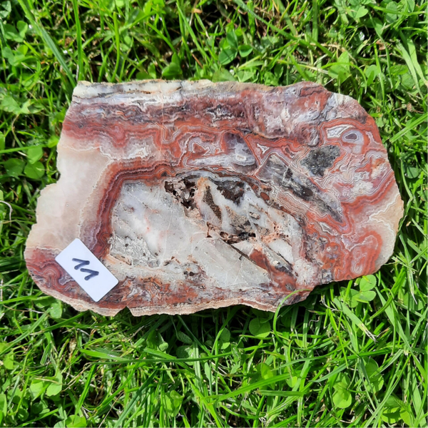 11 - Achat Amethyst Warmbad