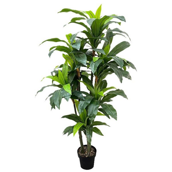 Planta Artificial Dracaena 160cm 160cm