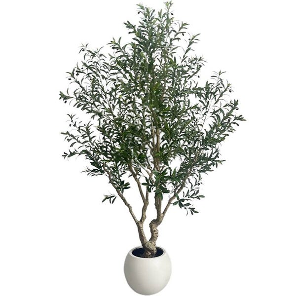 Planta Artificial Olivo 250 Cm. 250 Cm.