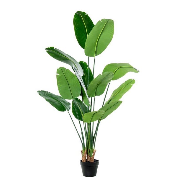 Planta Artificial Arbol Del Viajero 160 Cm 4 Troncos 13 Hoj 160 Cm.