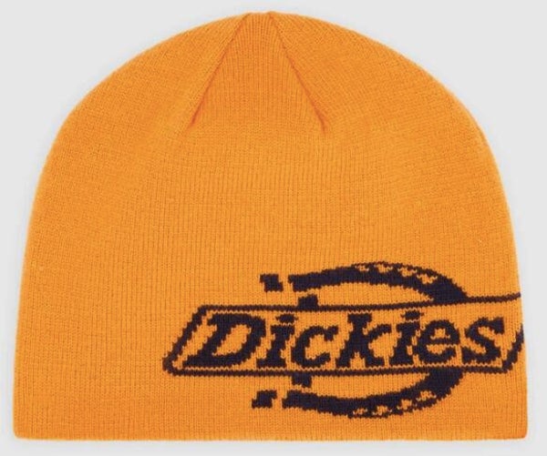 Dickies Summerdale logo Pumpkin Spice Beanie - One size