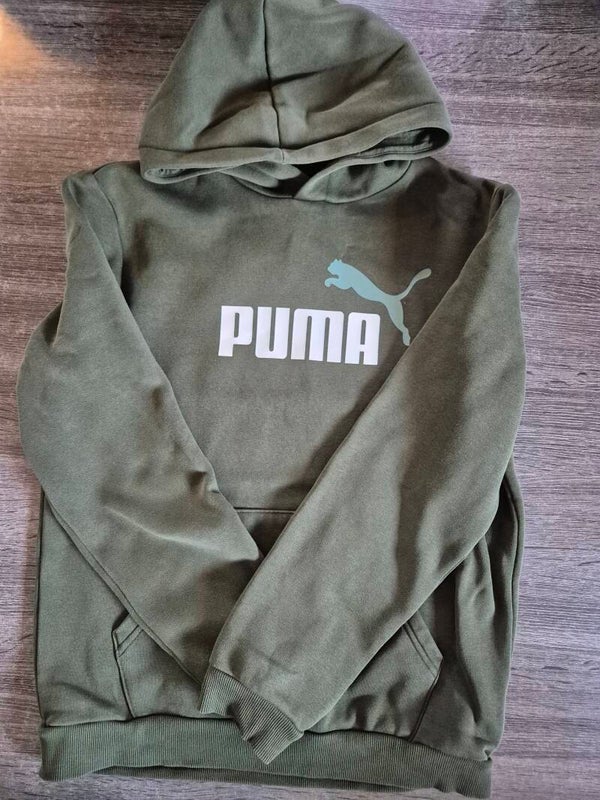 Puma trui