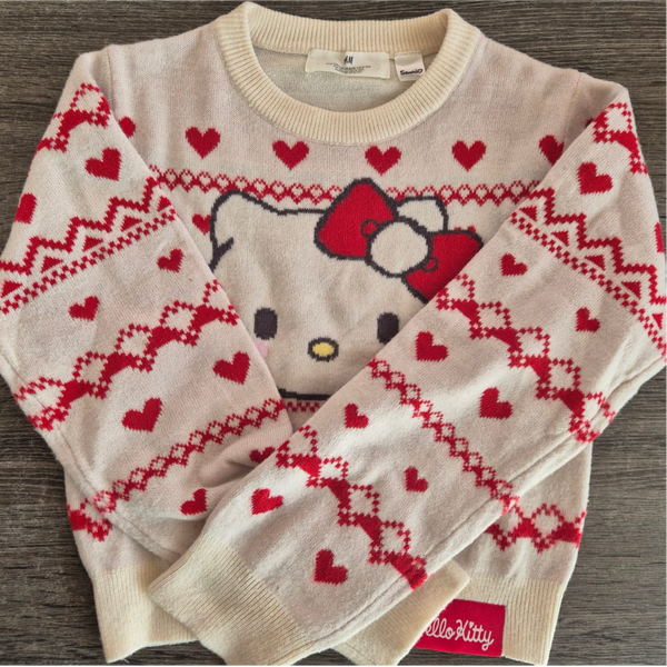 H&M Trui