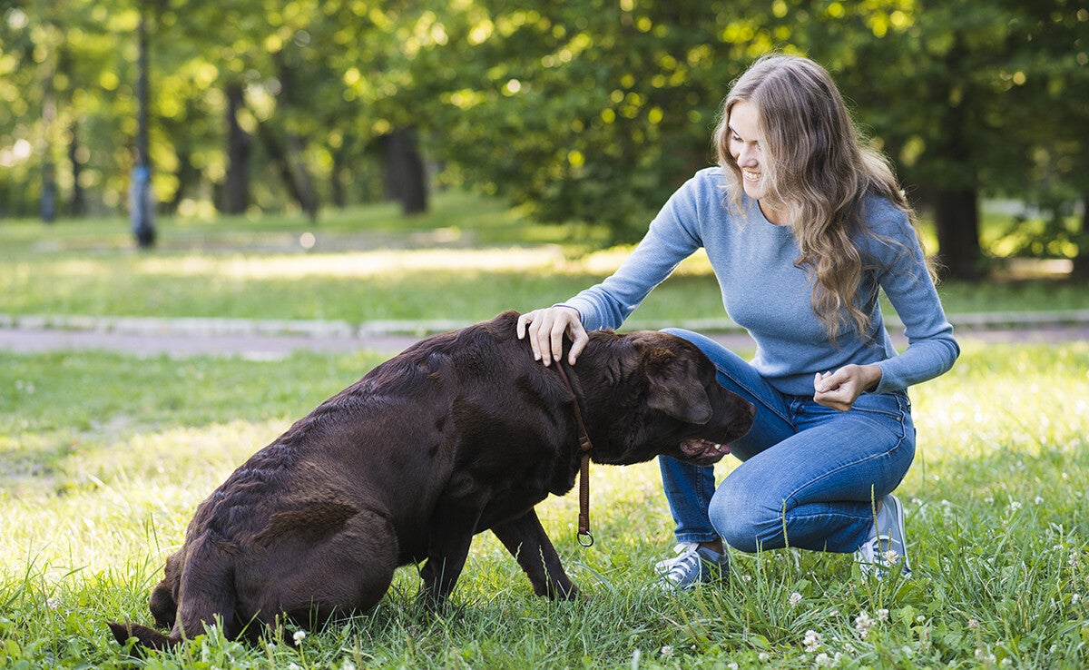 Activité physique et mobilité du chien senior – chien âgé en promenade avec sa propriétaire, illustration du bien-être animal, de l’exercice adapté, du maintien musculaire et du soutien naturel des articulations chez le chien vieillissant.