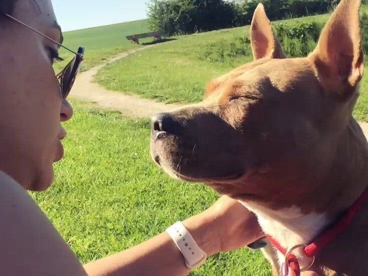 Moi et mon chien en bonne santé grace au collagène
