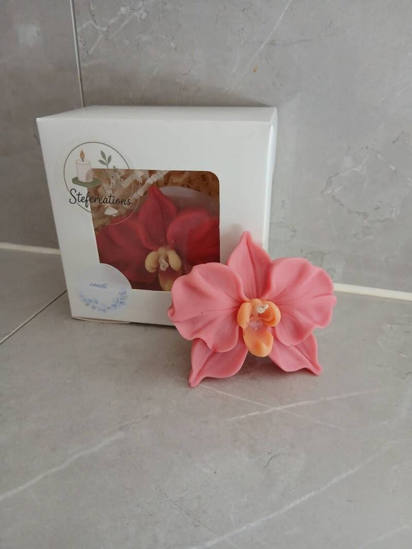 L’orchidée