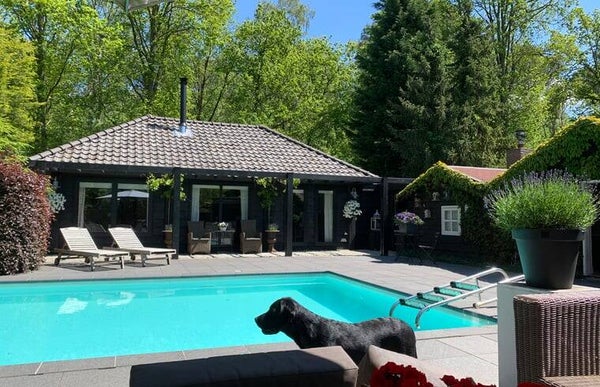 Natuurhuisje in Ossendrecht Noord-Brabant, Nederland  Vrijstaand | Op een landgoed | Chalet  2 personen