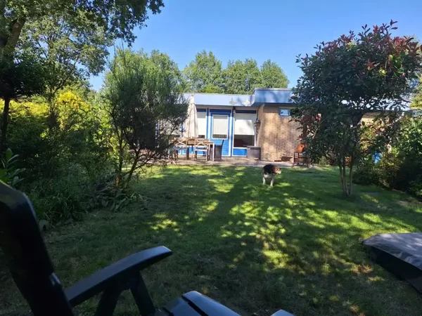 Vrijstaande Vakantie Bungalow met omheinde tuin en Privé Sauna 6 gasten Koekange, De Wolden, Nederland