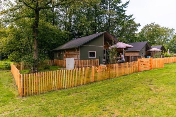 Dog Lodge met omheinde tuin 6 gasten Ruinen, De Wolden, Nederland