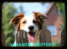 Vakantiesnuiters