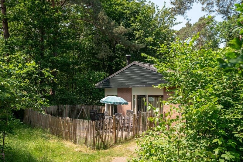 Hondenbungalow special met omheinde tuin 6 gasten Vakantiepark Heideheuvel Beekbergen Gelderland (NL)