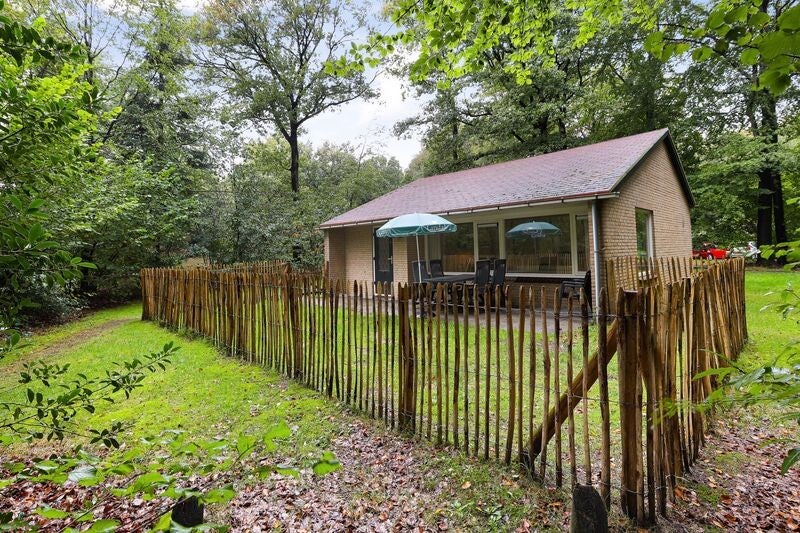 Hondenbungalow special met omheinde tuin 6 gasten Vakantiepark Rabbit Hill Nieuw Milligen Gelderland (NL)