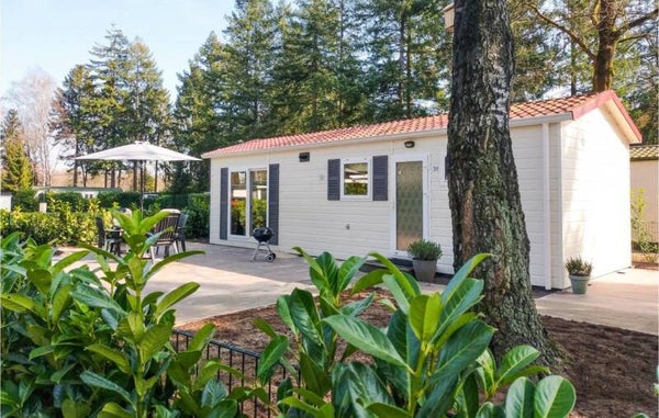 Vakantiehuis met omheinde tuin 4 gasten Vorden, Bronckhorst, Nederland