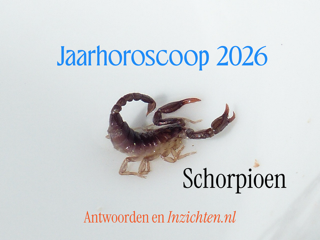 Schorpioen Jaarhoroscoop voor 2026 alle sterrenbeelden