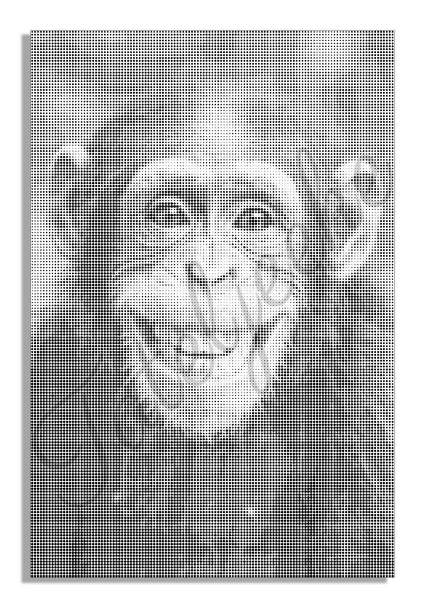 StipArt@ 5001097 Aap