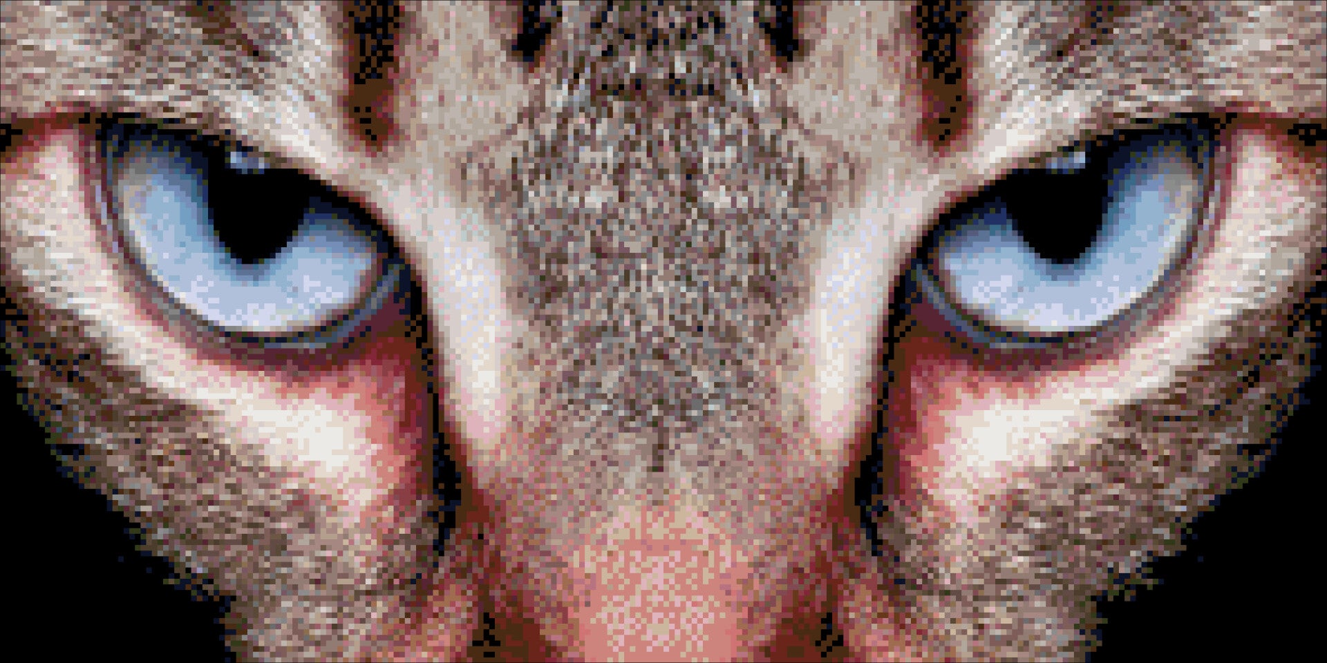 DP 4001458 kattenogen