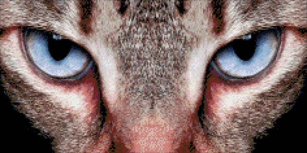 DP 4001458 kattenogen