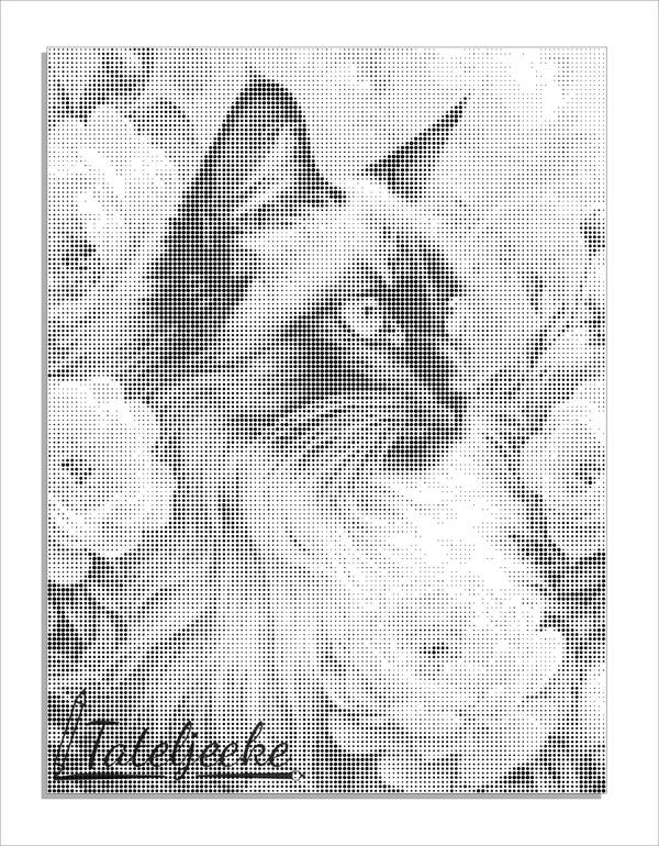 StipArt@ 5001177 Siamees 30x40