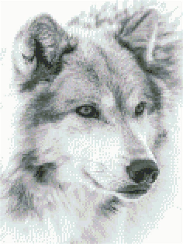 DP 4001017 Wolf