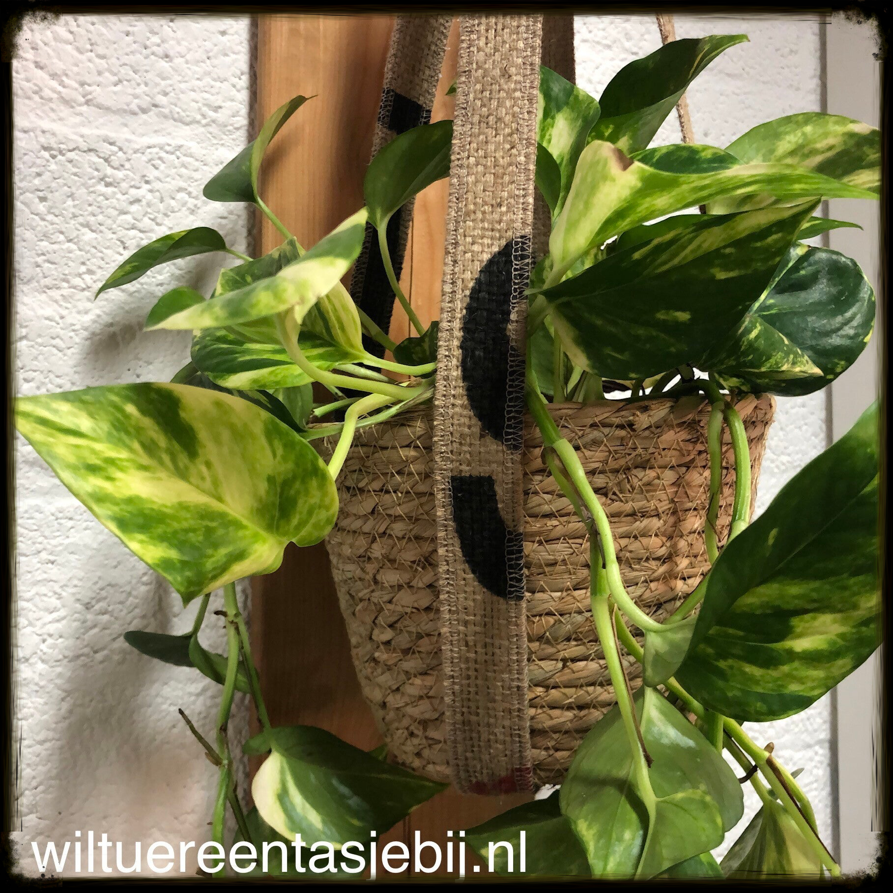 plantenhanger set sml