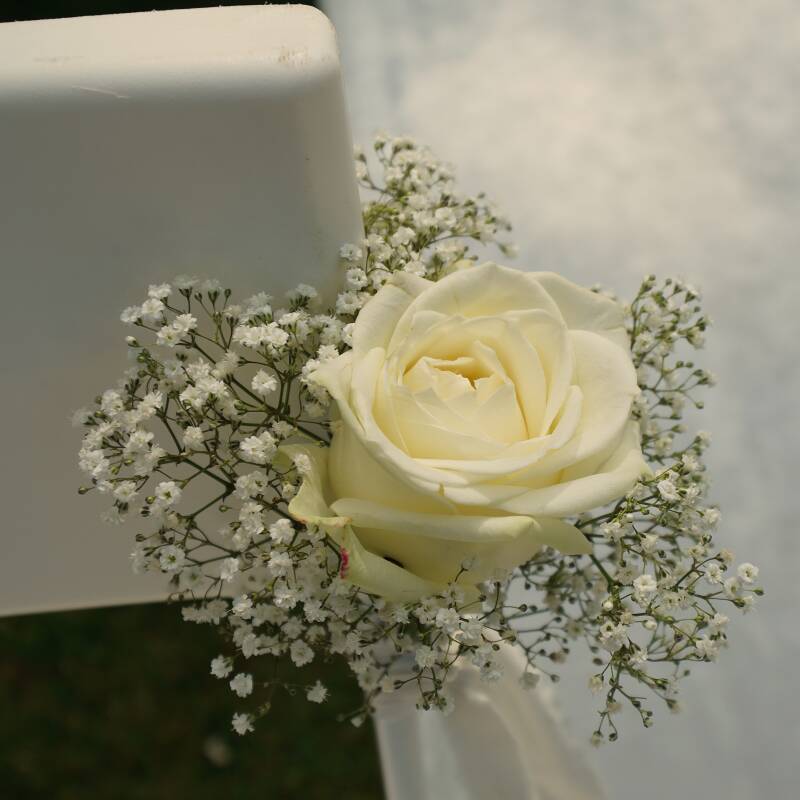 Trouwceremonie roos gipskruid