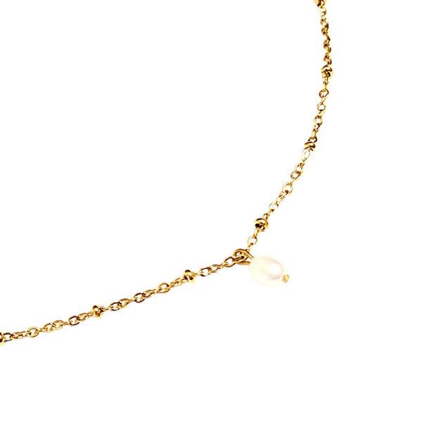 Enkele Ketting Zoetwaterparel | Goud