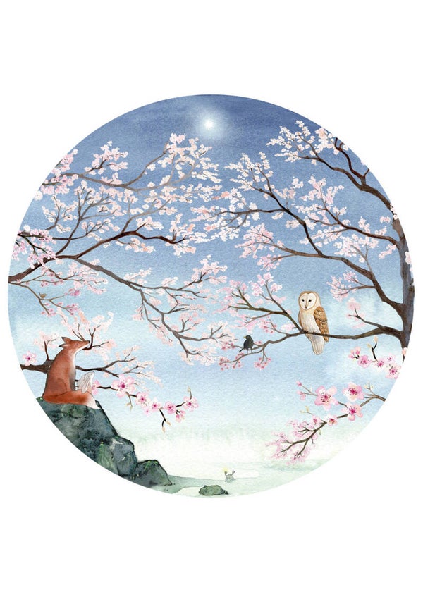 HD Behangcirkel Bloesem S